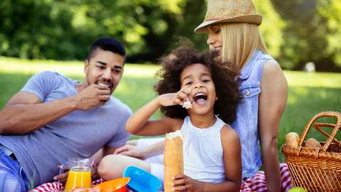 Picture of multiracial family at a picnic