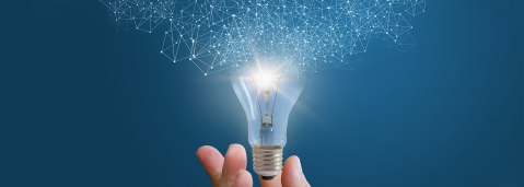Picture of hand holding a light bulb