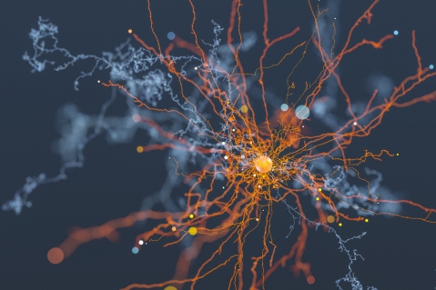 Abstract Neural Network