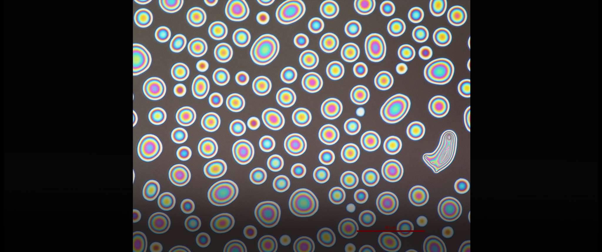 Bubbles and Ghost: Medium: hydrocarbon droplets on CTAR-coated fused silica Contamination control plays a key role in mitigating performance degradation for space systems such as optics, solar arrays, and thermal control systems. (CTAR coating = contamination-tolerant antireflection coating).