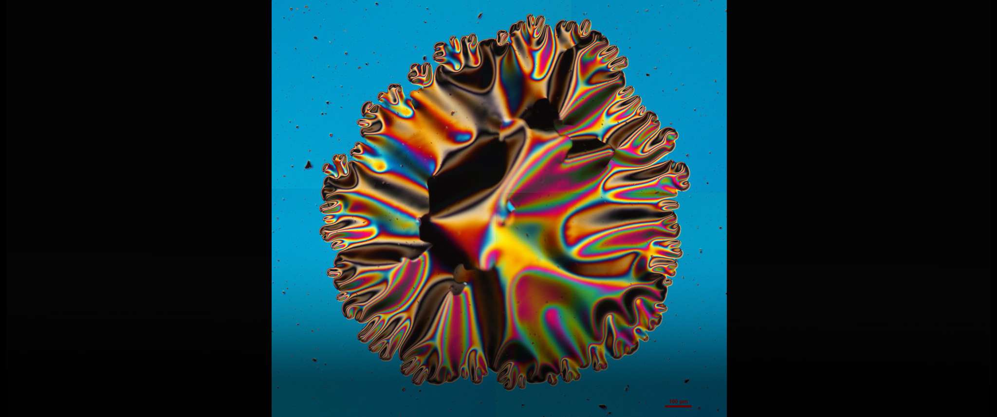 How Sprinkles are Made: Optical coatings and thin films are essential for sensor systems, thermal control strategies and photovoltaic power sources. This Nikon Differential Interference Contrast (DIC) optical micrograph stitched together shows fractal-like edges of a delaminating film.