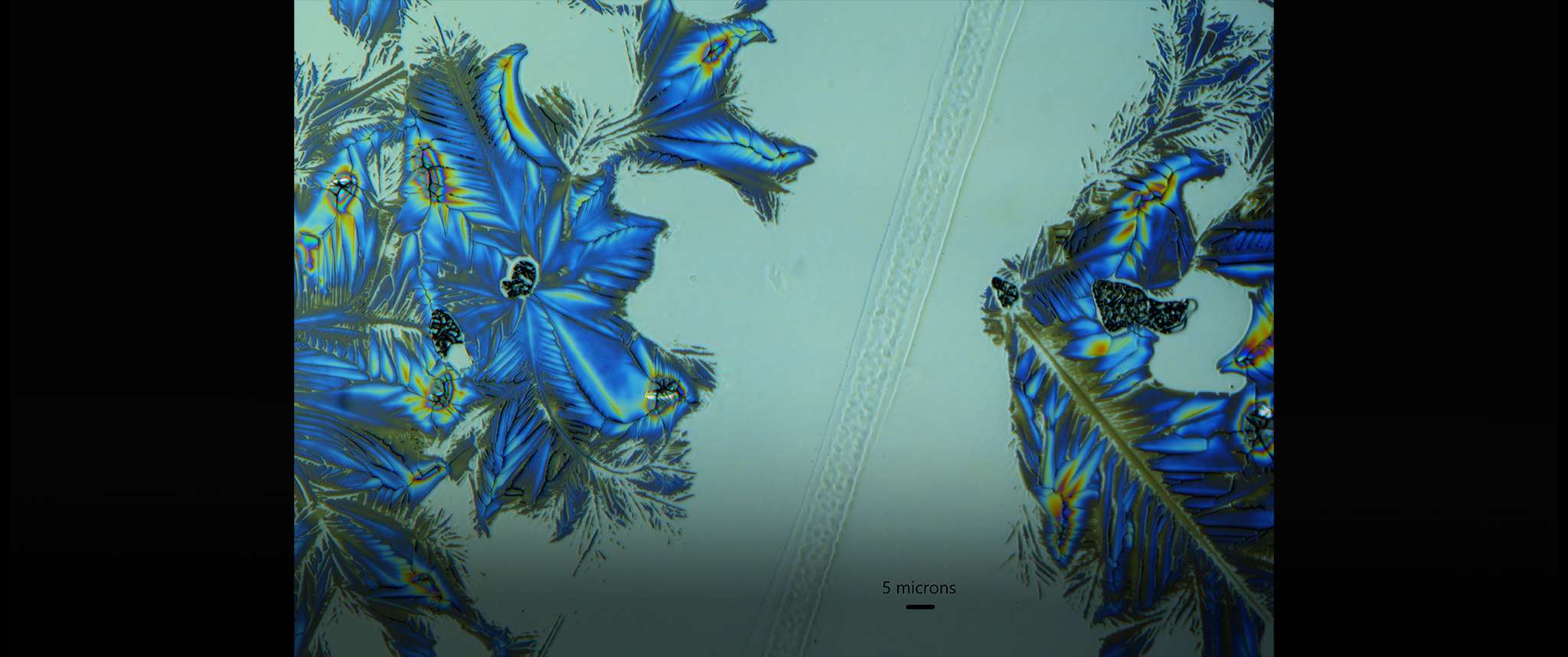 Micro-feathers on Micro-optics: SiO2 (silica) contaminant flakes on a LiNbO3 (lithium niobate) create strange crystals after being baked at high temperatures. The crystals refract visible light, allowing us to see many colors. The optical waveguide for the integrated photonic devices we are trying to make can be seen cutting through the center of the image. Unfortunately the contaminants ruined this wafer, but at least it looks cool!