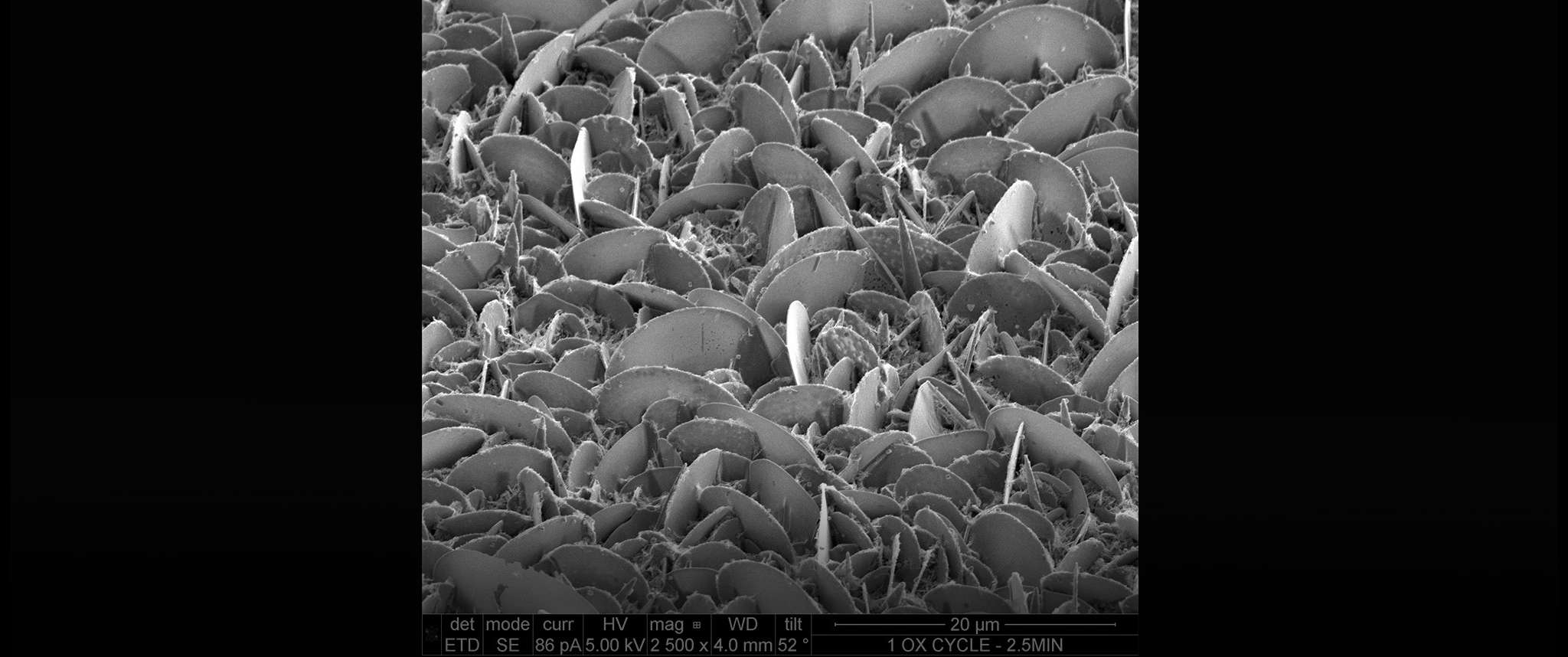 Silver Chloride Micro-Discs: Unexpected chemistry from a simple silver surface treatment resulted in the growth of unprecedented silver chloride disc-like structures aligned perpendicular to the substrate. Aerospace investigates new chemical reactions to inform spacecraft design and to identify potential problems that could arise from introducing new technologies.