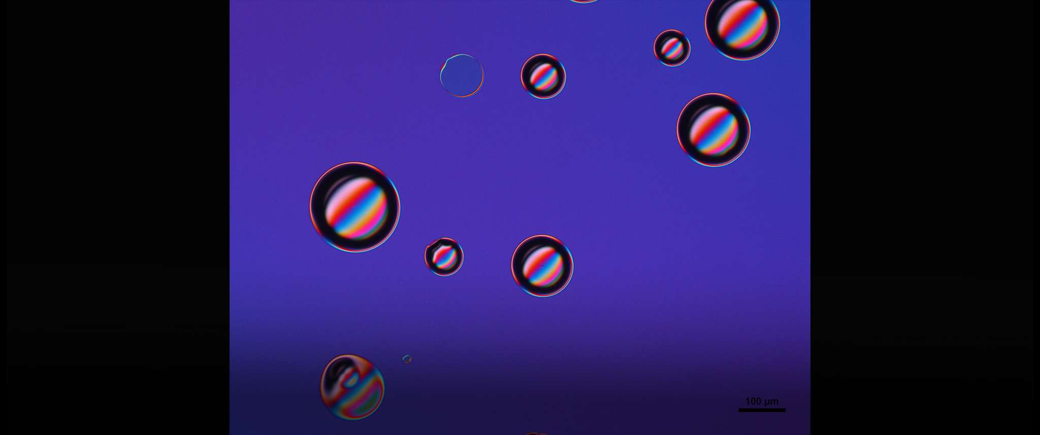 Stressed Out Coatings: Optical coatings and thin films are essential for sensor systems, thermal control strategies and photovoltaic power sources. Differential Interference Contrast (DIC) micrograph of an oxide multilayer coating with high residual stress. This is a witness sample with ~100 layers of SiOx, TaOx, Si, Ge, etc. layers that has started to have delamination regions. The DIC imaging mode makes the circular delamination regions have high contrast.