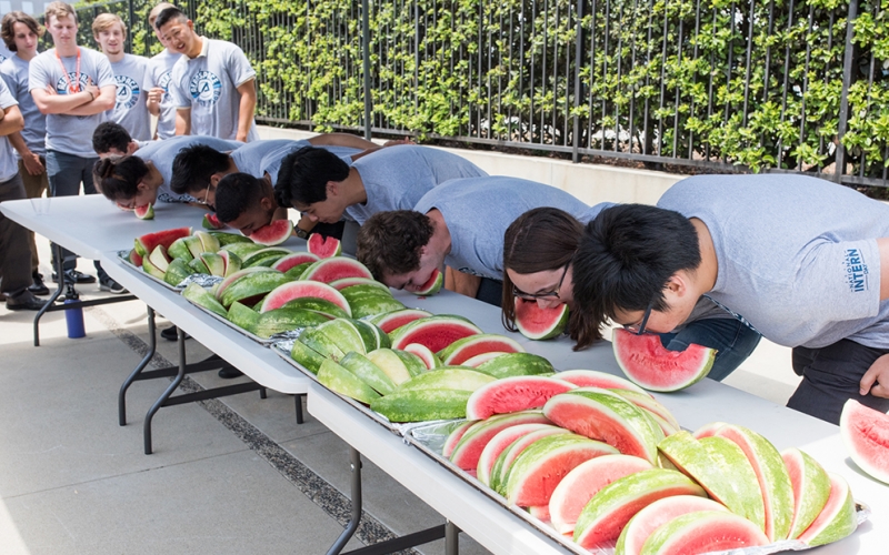 Intern day watermelon contest