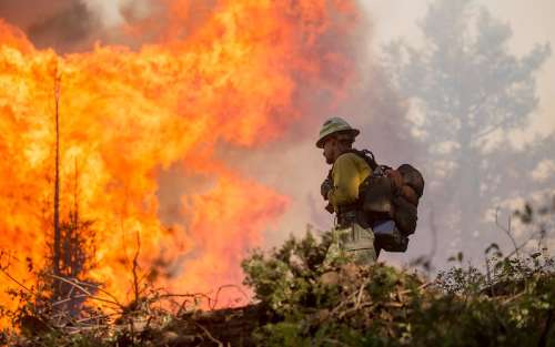 Wildfire and firefighter