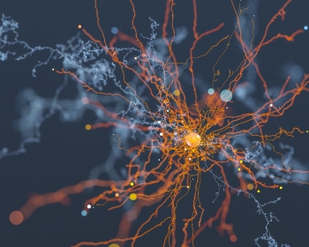 Abstract Neural Network